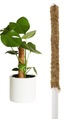 10x Coconut Stake Pole Plant Support 40cm