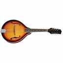 Mandolína Richwood RMA-60-VS Master typu A