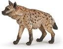 Hyena