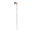 Nordic walking palice LEKI Passion biele a zelené 115