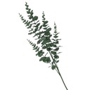 Umelá zelená vetva EUKALYPTUS, 95 cm