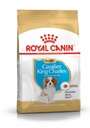 Royal Canin Cavalier King Charles Šteniatko 1,5 kg