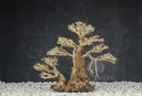 Aquasilva Mau aqua bonsai strom naplaveného dreva