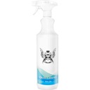 RR CUSTOMS RRC Glass Cleaner 1L čistič skla