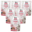 Brit Care Mini Puppy Lamb 24x85g