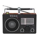 DARTEL RD-70 PRENOSNÉ RÁDIO MP3 FM SD TMAVOhnedé