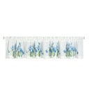 ALA WHITE ENVY Z CHEAT IRIS FLOWERS 30x150