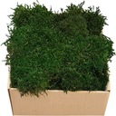 Flat Moss PREMIUM Natural Green v 150g kartóne