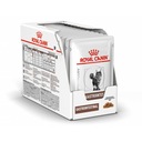 Royal Canin GASTRO INTESTINAL mačka 12 x 85 g