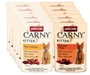 Animonda Cat Citten Kitten - Mix SET SET 85G X12