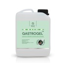 Hippovet GASTROGEL doplnok gél na vredy 2,5l