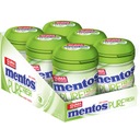 MENTOS PURE FRESH LIME MINT fľaša 60 g 6 ks