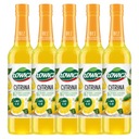 Łowicz vitamín C citrónový ovocný sirup 5x 400ml