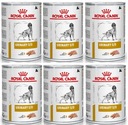 Royal Canin Urinary S/O Canine 410 g plechovka x 6