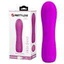 Pretty Love ALLEN Classic Vibrator USB Silicone