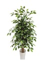 Umelý Ficus Beniamin Umelý stromček 100cm