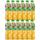 Tymbark Drink Bottle jablková mäta 12 x 500 ml