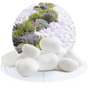 White Thassos Pebbles Garden Stones 25KG