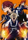 Anime Manga My Hero Academia Poster bnha_021 A2