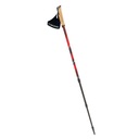 Nordic walking palice VIKING KUBE PRO