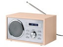 KUCHYNSKÉ RÁDIO FM DAB+ BLUETOOTH DREVENÝ SKÚŠKA