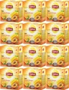 LIPTON čaj Broskyňa Mango pyramídy x12