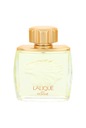 Lalique Lion Pour Homme Edp 75 ml