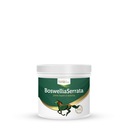 Horse Line HorseLine - Boswellia Serrata 500g