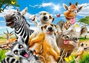 PUZZLE 500 PUZZLE AFRICKÉ ZVIERATÁ SELFIE SAFARI ZEBRA ŽIRAFA 9+ KOLEČKO