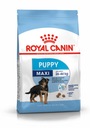 Krmivo Royal Canin SHN Maxi Puppy 15 kg