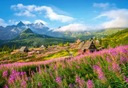 Puzzle 1000 Tatry Hala Gąsienicowa Castorland 43015