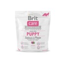 Brit losos suché krmivo pre psov BRIT CARE DOG BEZZRNNÉ ŠTEŇA SALMON 1KG