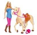 Bábika Barbie + Basic Horse FXH13