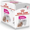 Royal CCN Dog Exigent - vrecúško pre maškrtných psov 12x85g