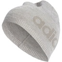 Čiapka Adidas DAILY BEANIE LT OSFM