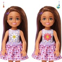 Barbie Color Reveal Chelsea Picnic HKT81