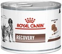 Royal Canin Recovery Adult 12 x 195 g