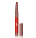 L'Oreal Paris Infallible Matte Lip Crayon 110 C P1