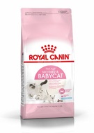 Royal Canin Baby Cat 36 400g