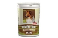 Rumen tabs s RUMEN 300 tabletami