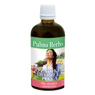 Pulmo Herbs 100 ml Sinus Lungs Invent Herbs