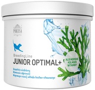 TEMPTATION JuniorOptimal+ 300g