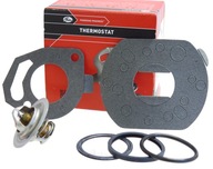 TERMOSTAT PRE VW AUDI SEAT SKODA OPEL MITSUBISHI