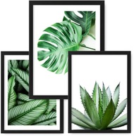 Sada 3 obrazov 24x33 plagátov MONSTERA, rám ikea