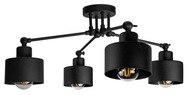 STROPNÉ SVIETIDLO, LOFT EDISON LED LUNTER