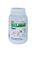 GELACAN FAST 150 g - na kĺby, analgetikum