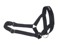 Obojok amiplay Halter Basic XS Bridle Collar Black