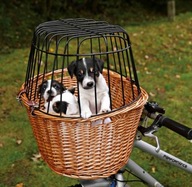 Prútený košík na bicykel pre psa mačku do 5kg Trixie