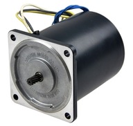 Orientálny motor MSM540-411 s krútiacim momentom 1700 ot./min