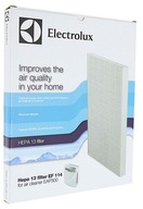 Electrolux HEPA FILTER EF114 ČISTIČKY EAP300